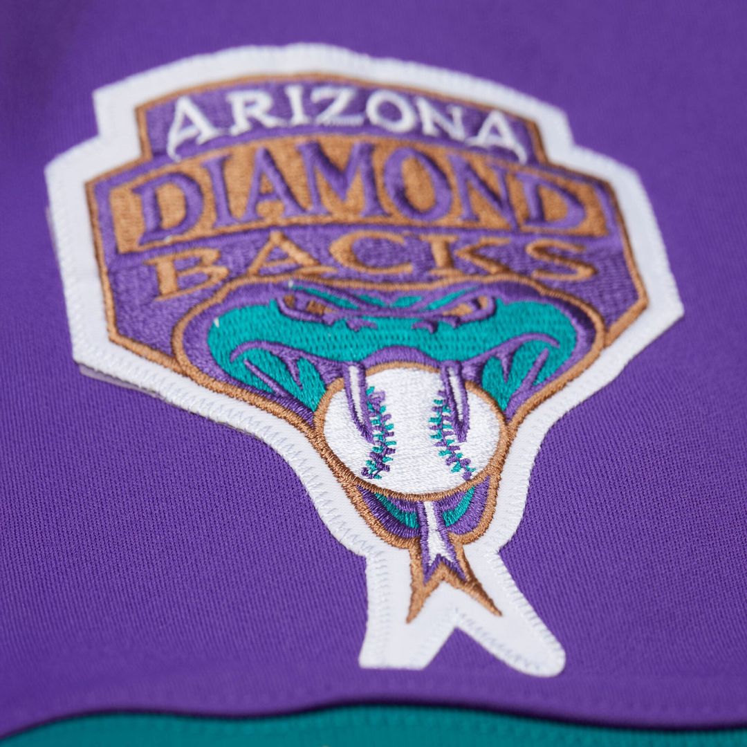 Men's Arizona Diamondbacks Randy Johnson Purple 2000 Throwback Jersey
