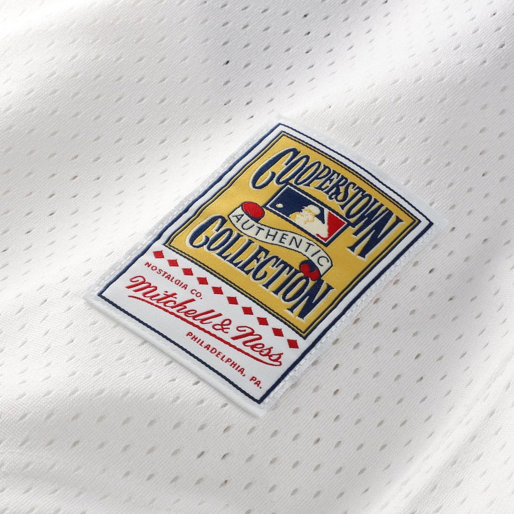Men's Chicago White Sox Carlton Fisk White Batting Practice Jersey