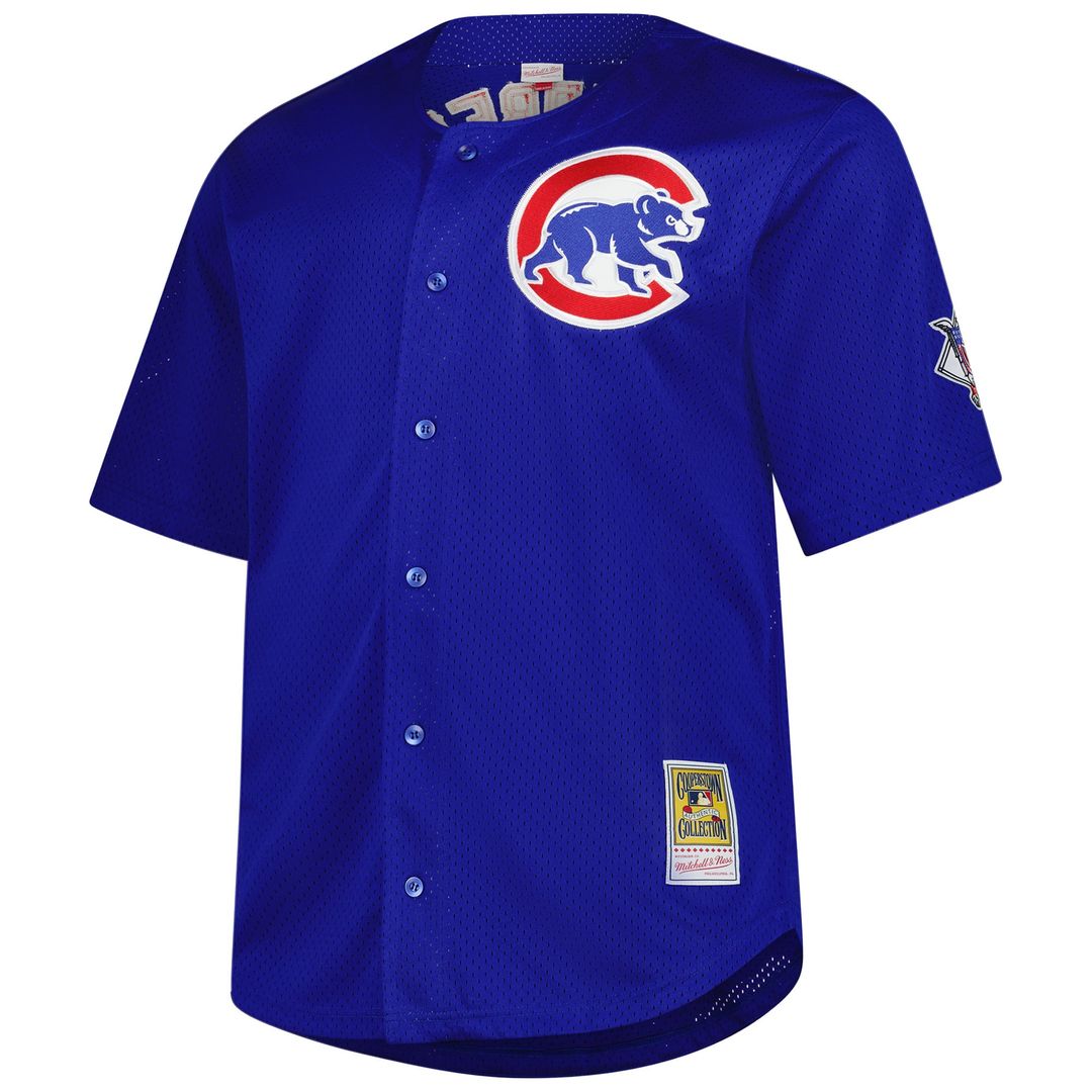 Men's Chicago Cubs Ryne Sandberg Royal Big & Tall Mesh Batting Practice Jersey