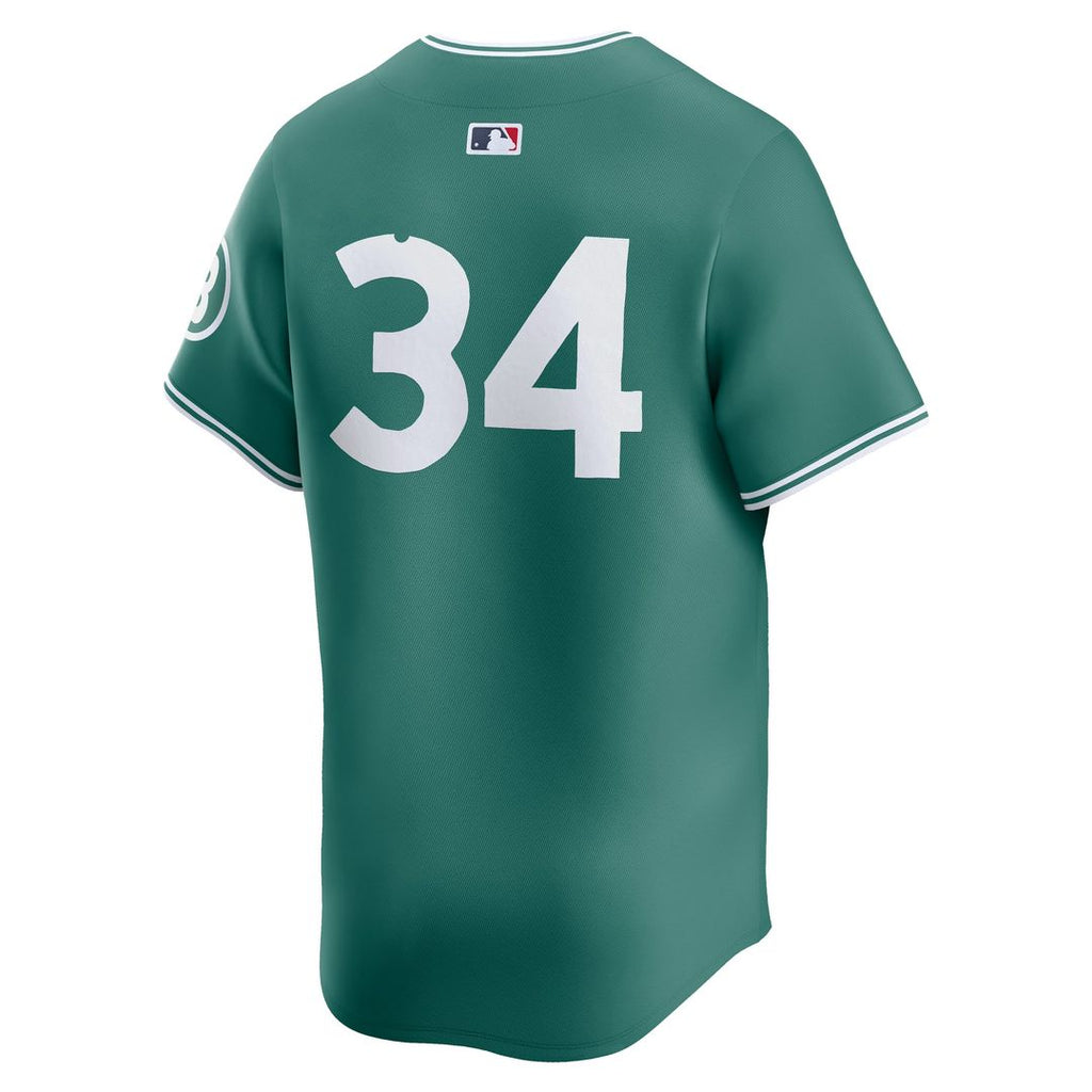 Men's Boston Red Sox David Ortiz Green 2025 City Connect Retired Player Jersey