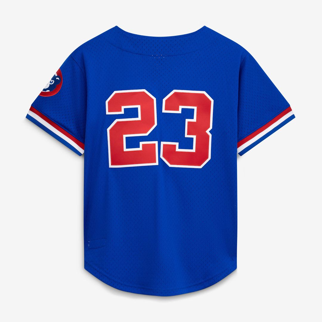 Men's Chicago Cubs Ryne Sandberg Royal 1996 Mesh Batting Practice Button-Up Jersey