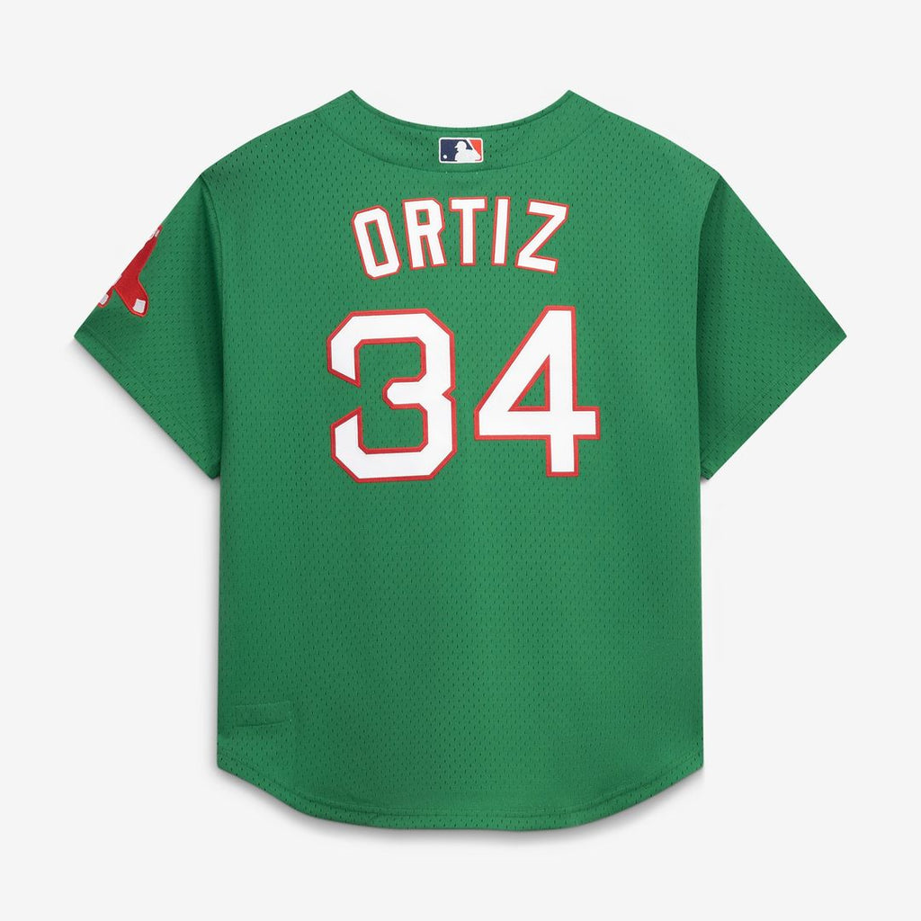 Men's Boston Red Sox David Ortiz Red Mesh Batting Practice Button-Up Jersey