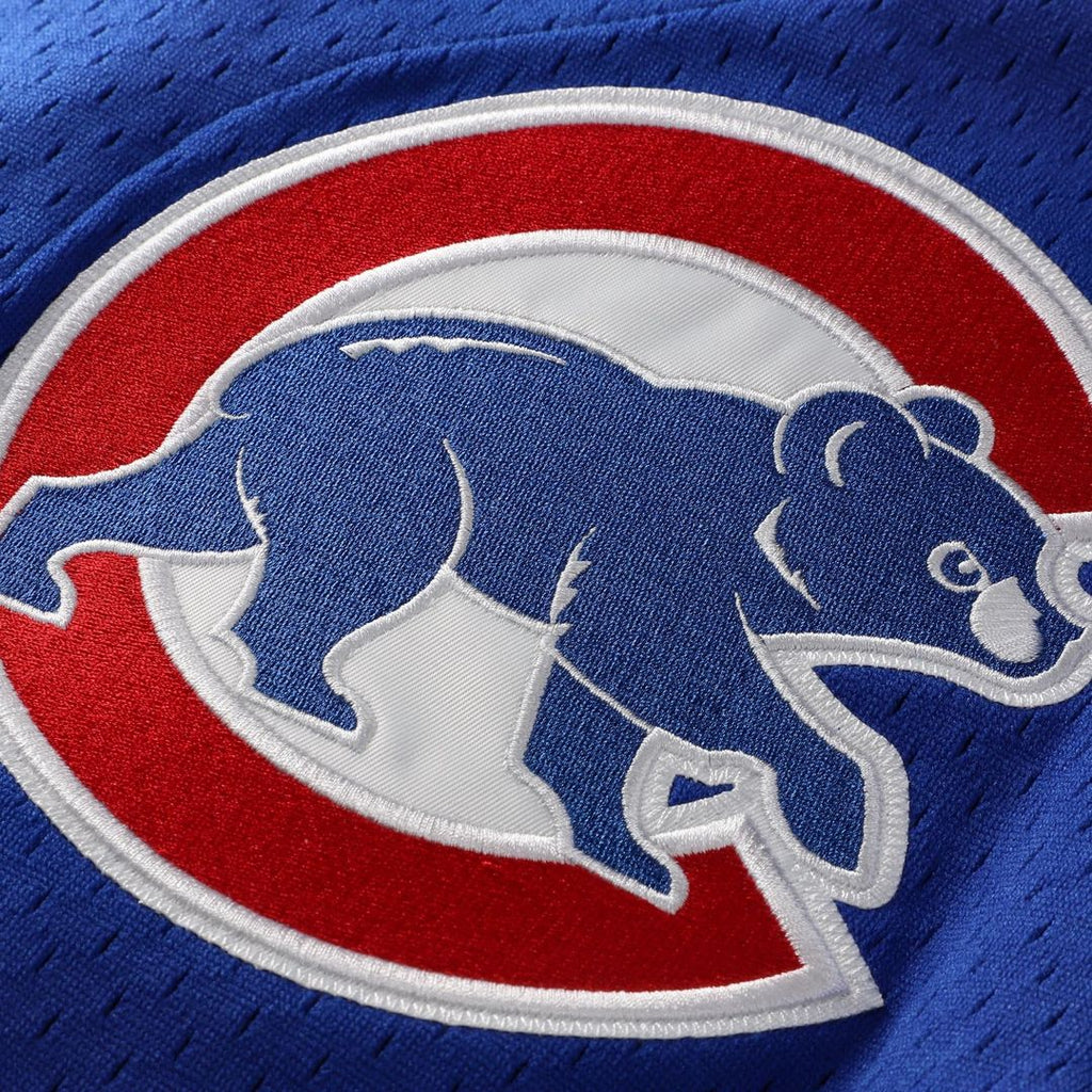 Men's Chicago Cubs Ryne Sandberg Royal 1997 Mesh Batting Practice Button-Up Jersey