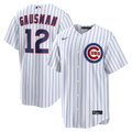 Chicago Cubs jersey