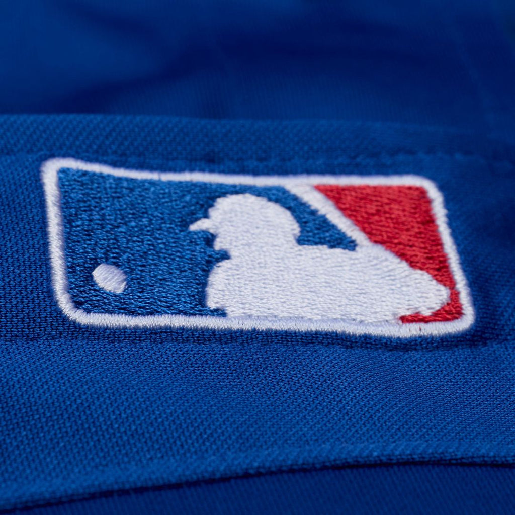 Men's Texas Rangers Adrian Beltre Royal Mesh Batting Practice Button-Up Jersey