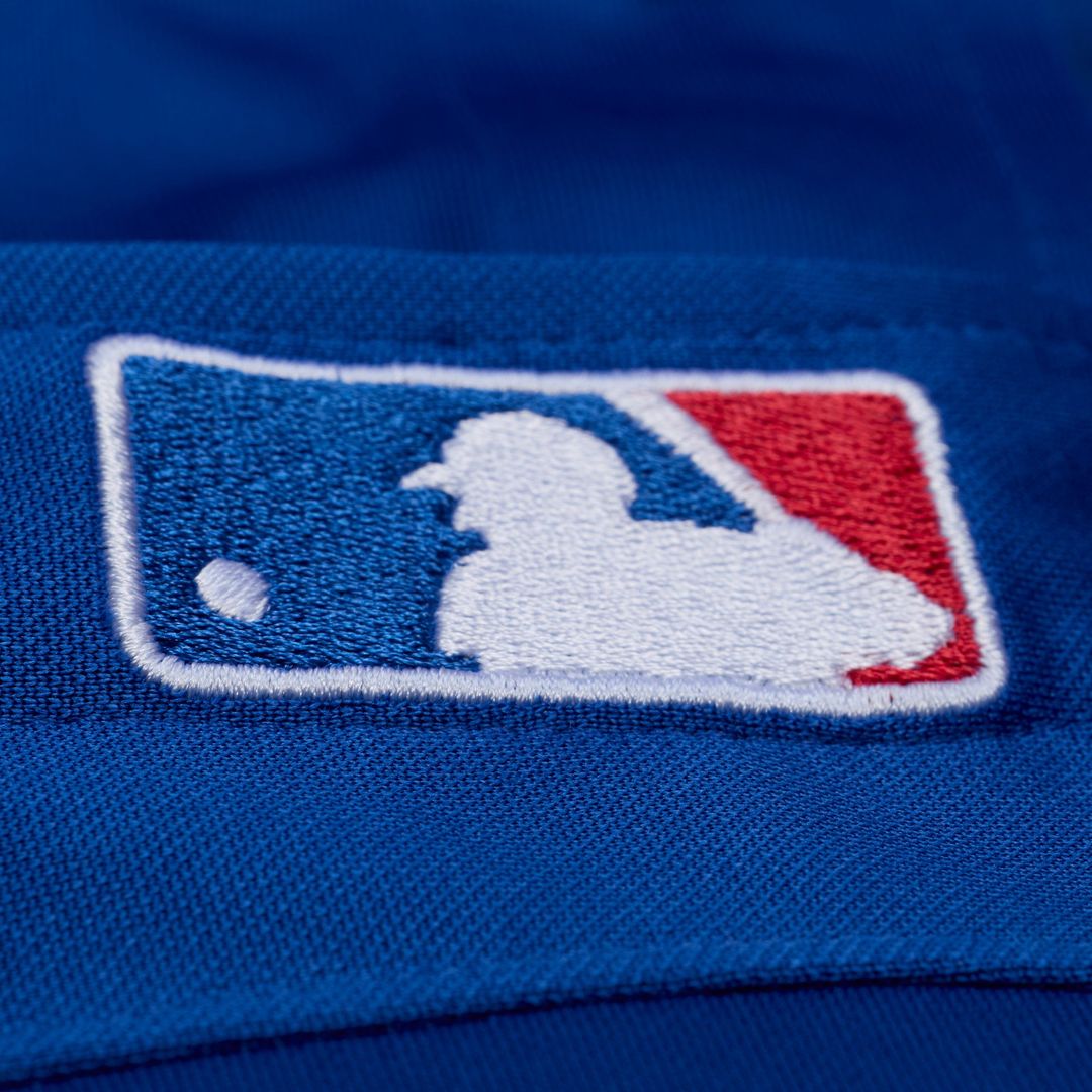 Men's Texas Rangers Adrian Beltre Royal Mesh Batting Practice Button-Up Jersey