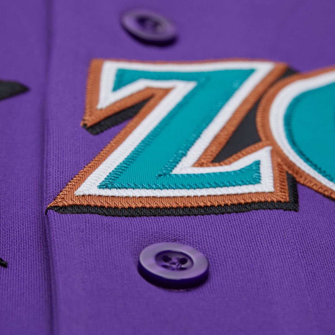 Men's Arizona Diamondbacks Randy Johnson Purple 2000 Throwback Jersey