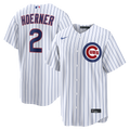 Chicago Cubs jersey