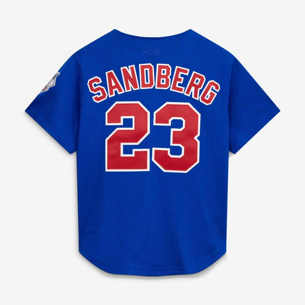 Men's Chicago Cubs Ryne Sandberg Royal 1997 Mesh Batting Practice Button-Up Jersey