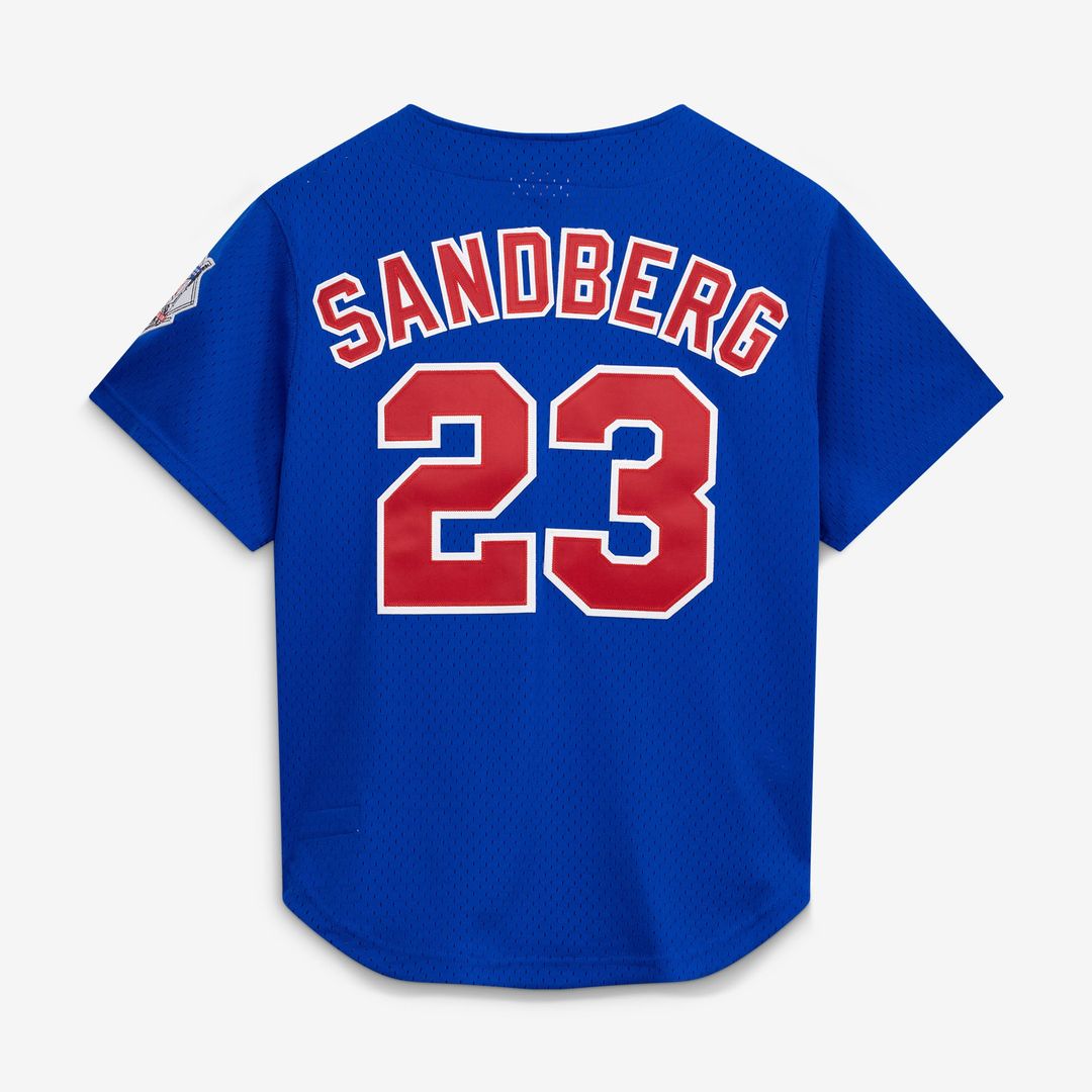 Men's Chicago Cubs Ryne Sandberg Royal 1997 Mesh Batting Practice Button-Up Jersey