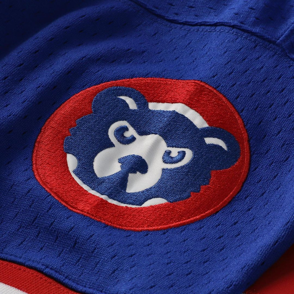 Men's Chicago Cubs Ryne Sandberg Royal 1996 Mesh Batting Practice Button-Up Jersey