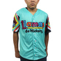 Hickory Crawdads jersey