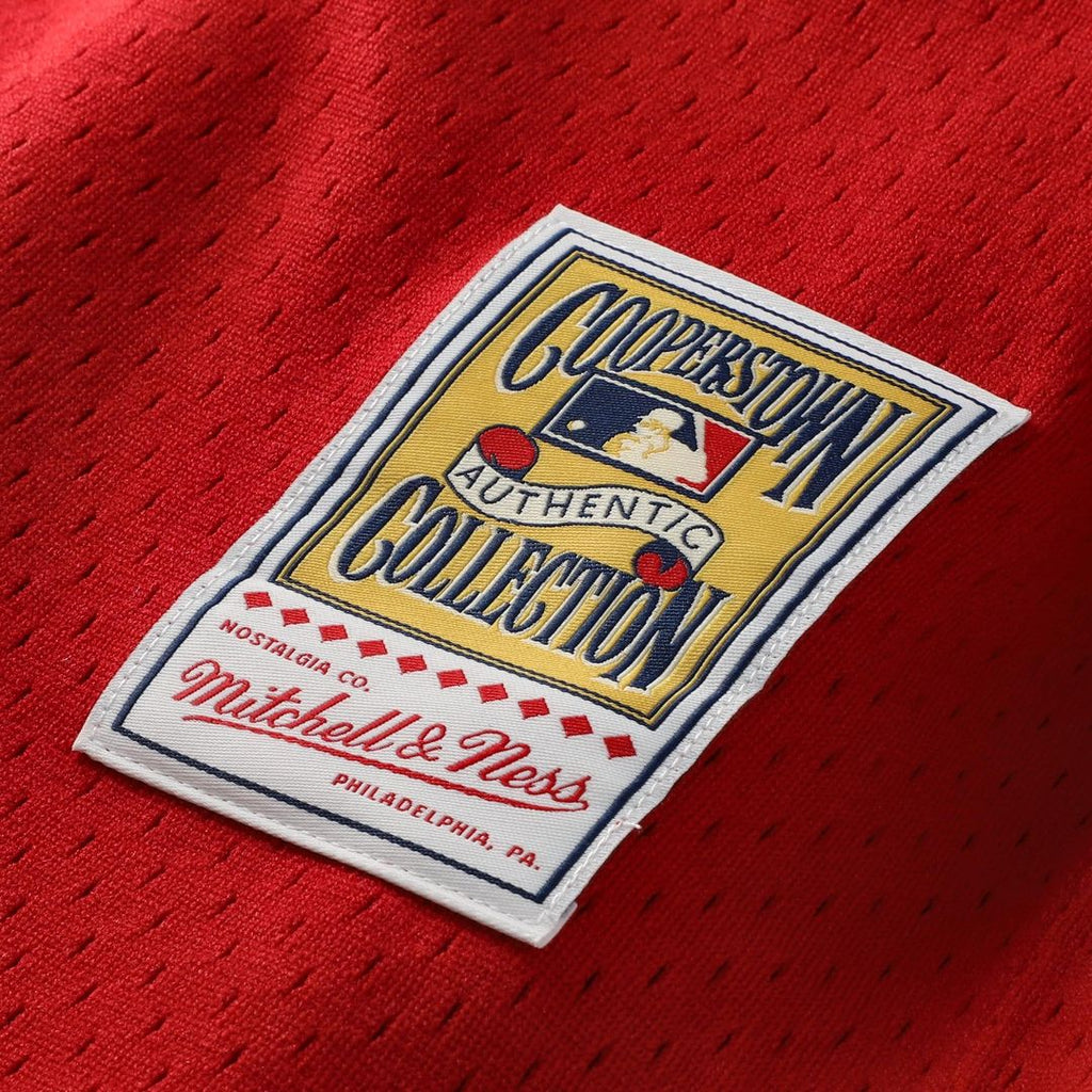 Men's Cincinnati Reds Johnny Bench Red Big & Tall Mesh Batting Practice Jersey