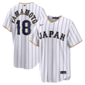 Japan Baseball jersey