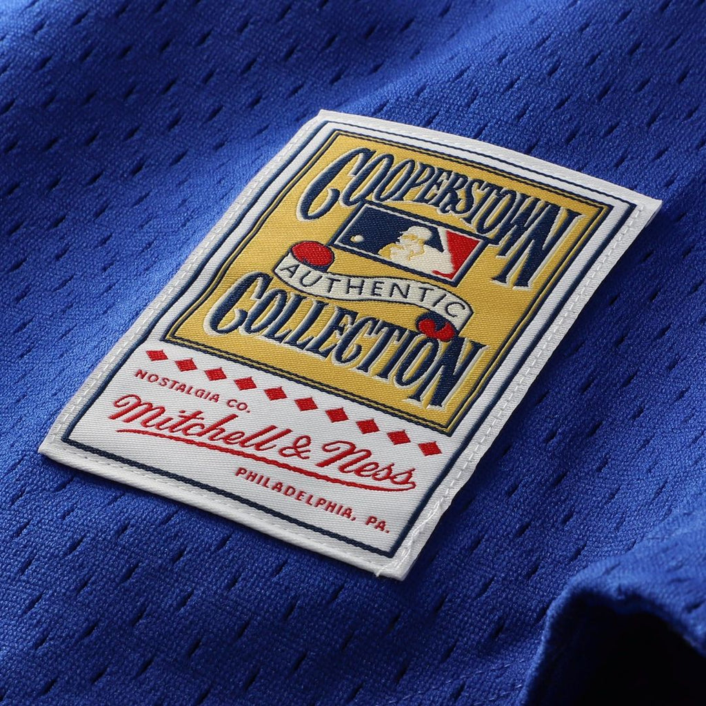Men's Chicago Cubs Ryne Sandberg Royal 1997 Mesh Batting Practice Button-Up Jersey
