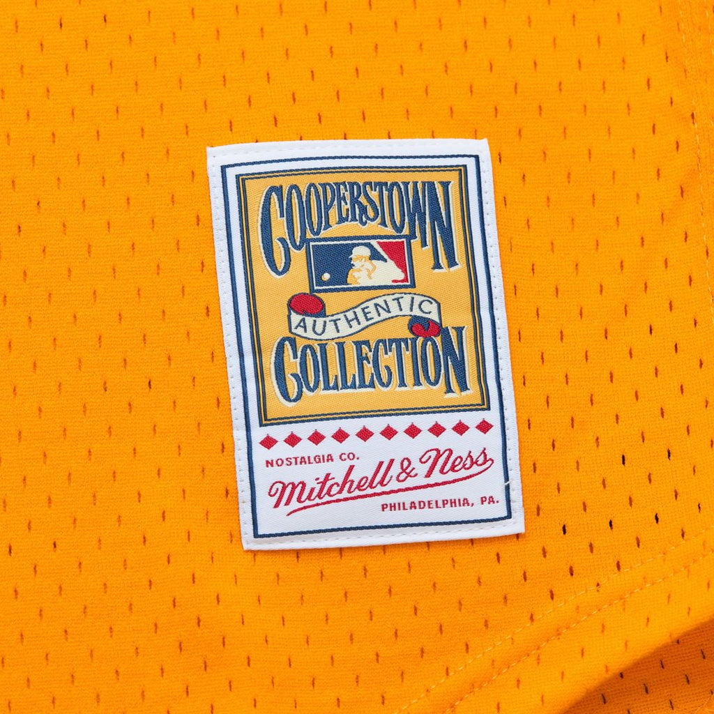 Men's San Diego Padres Tony Gwynn Gold Big & Tall Mesh Batting Practice Jersey