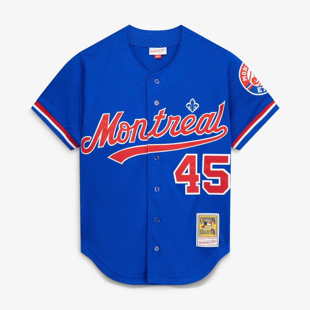 Men's Montreal Expos Pedro Martinez Blue Mesh Batting Practice Button-Up Jersey