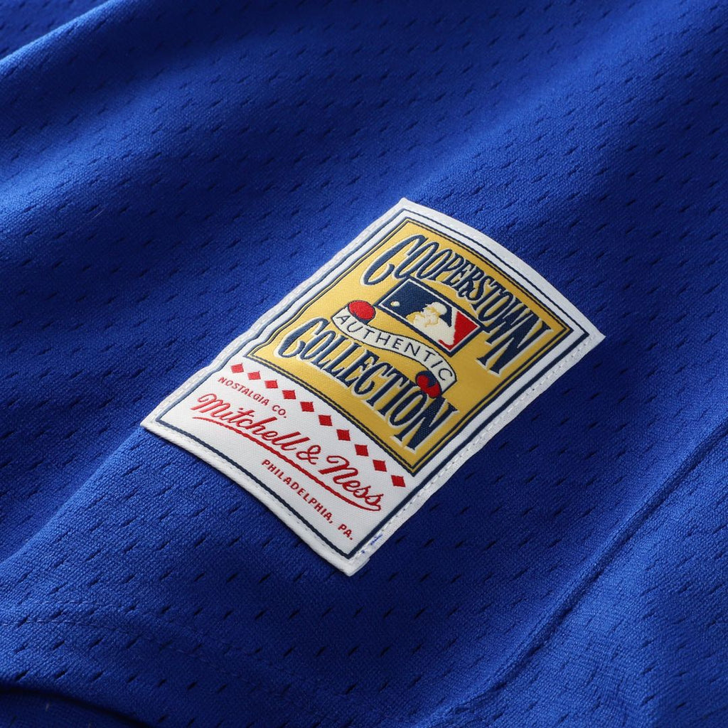 Men's Atlanta Braves Dale Murphy Royal Batting Practice Jersey