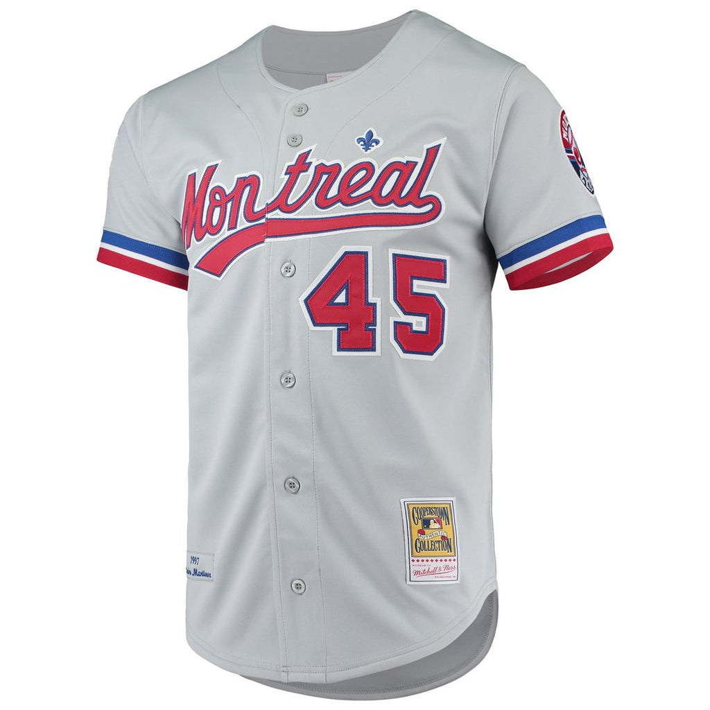 Men's Montreal Expos Pedro Martinez Gray Jersey