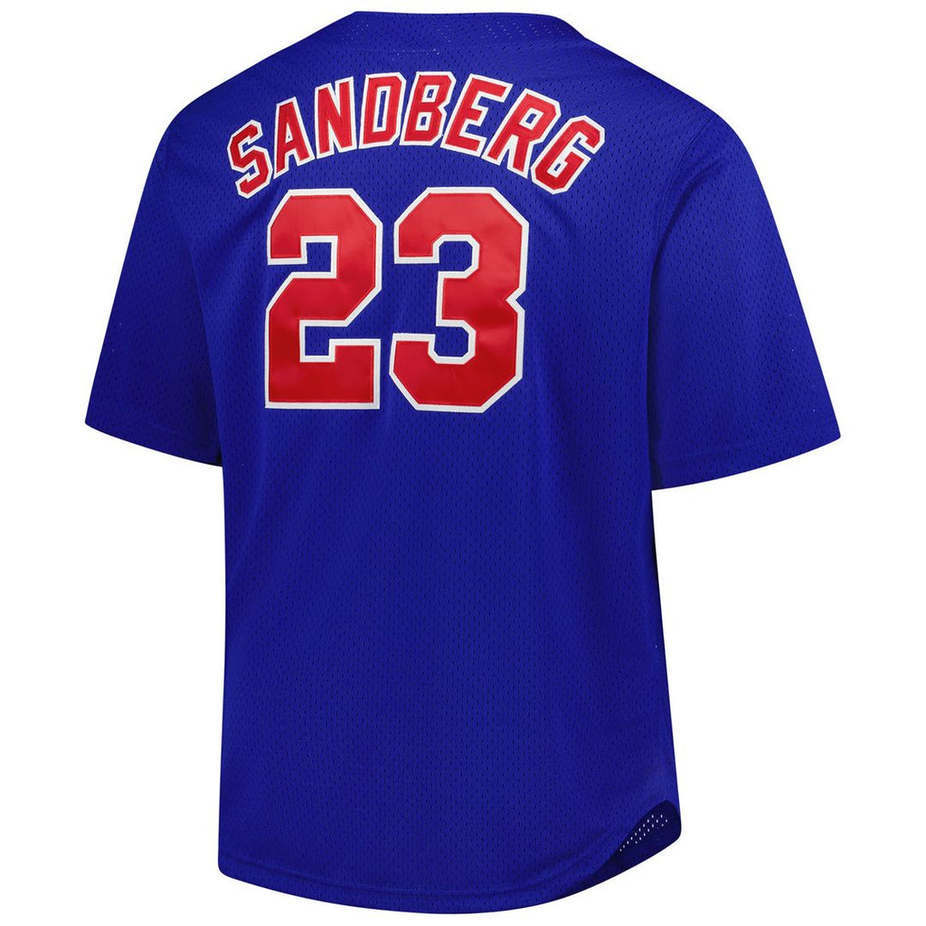 Men's Chicago Cubs Ryne Sandberg Royal Big & Tall Mesh Batting Practice Jersey