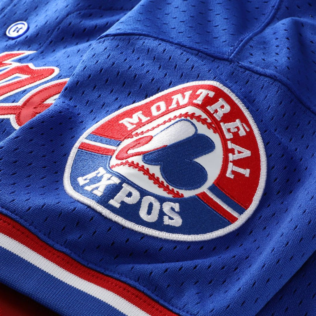 Men's Montreal Expos Pedro Martinez Blue Mesh Batting Practice Button-Up Jersey