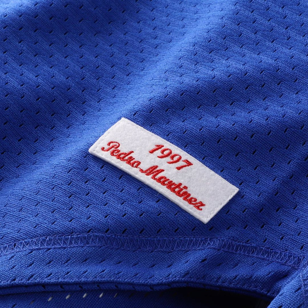 Men's Montreal Expos Pedro Martinez Blue Mesh Batting Practice Button-Up Jersey
