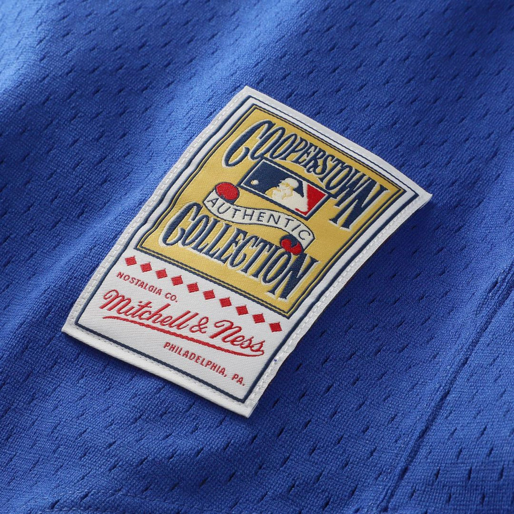 Men's Texas Rangers Nolan Ryan Royal Big & Tall Mesh Batting Practice Jersey
