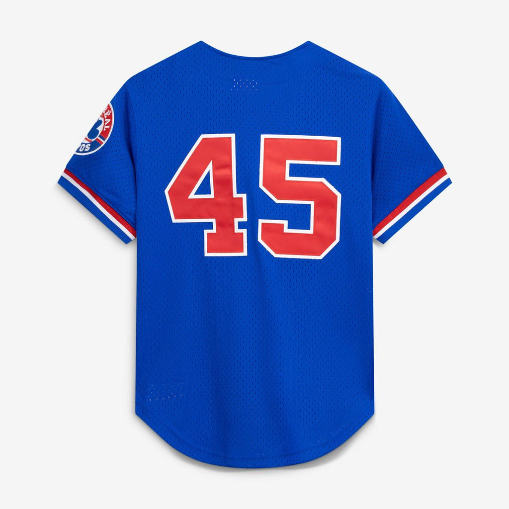 Men's Montreal Expos Pedro Martinez Blue Mesh Batting Practice Button-Up Jersey