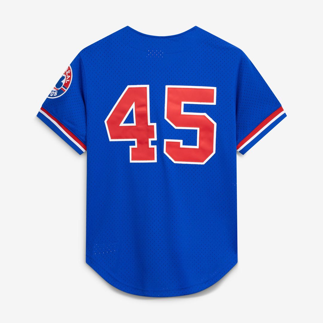 Men's Montreal Expos Pedro Martinez Blue Mesh Batting Practice Button-Up Jersey