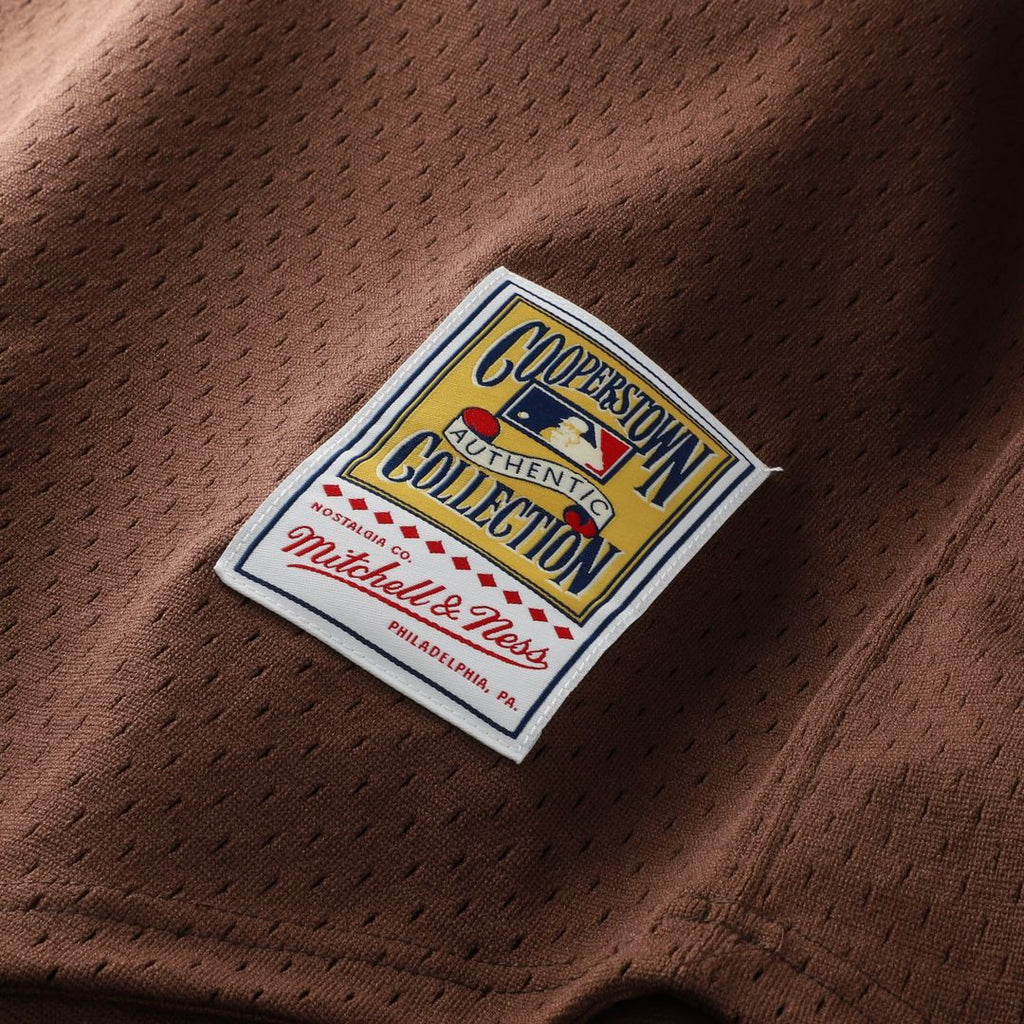 Men's San Diego Padres Tony Gwynn Brown Batting Practice Jersey