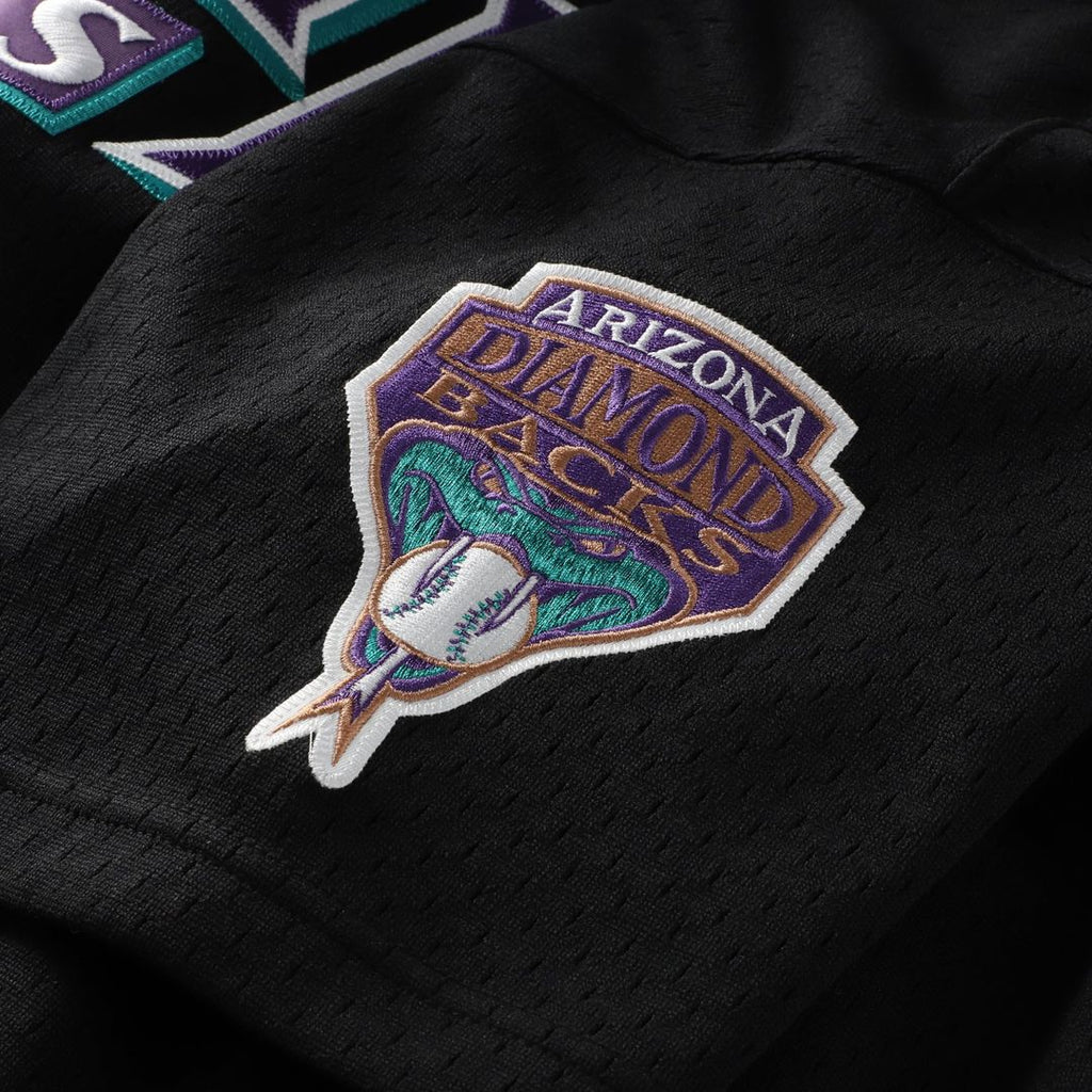 Men's Arizona Diamondbacks Randy Johnson Black Big & Tall Mesh Batting Practice Jersey