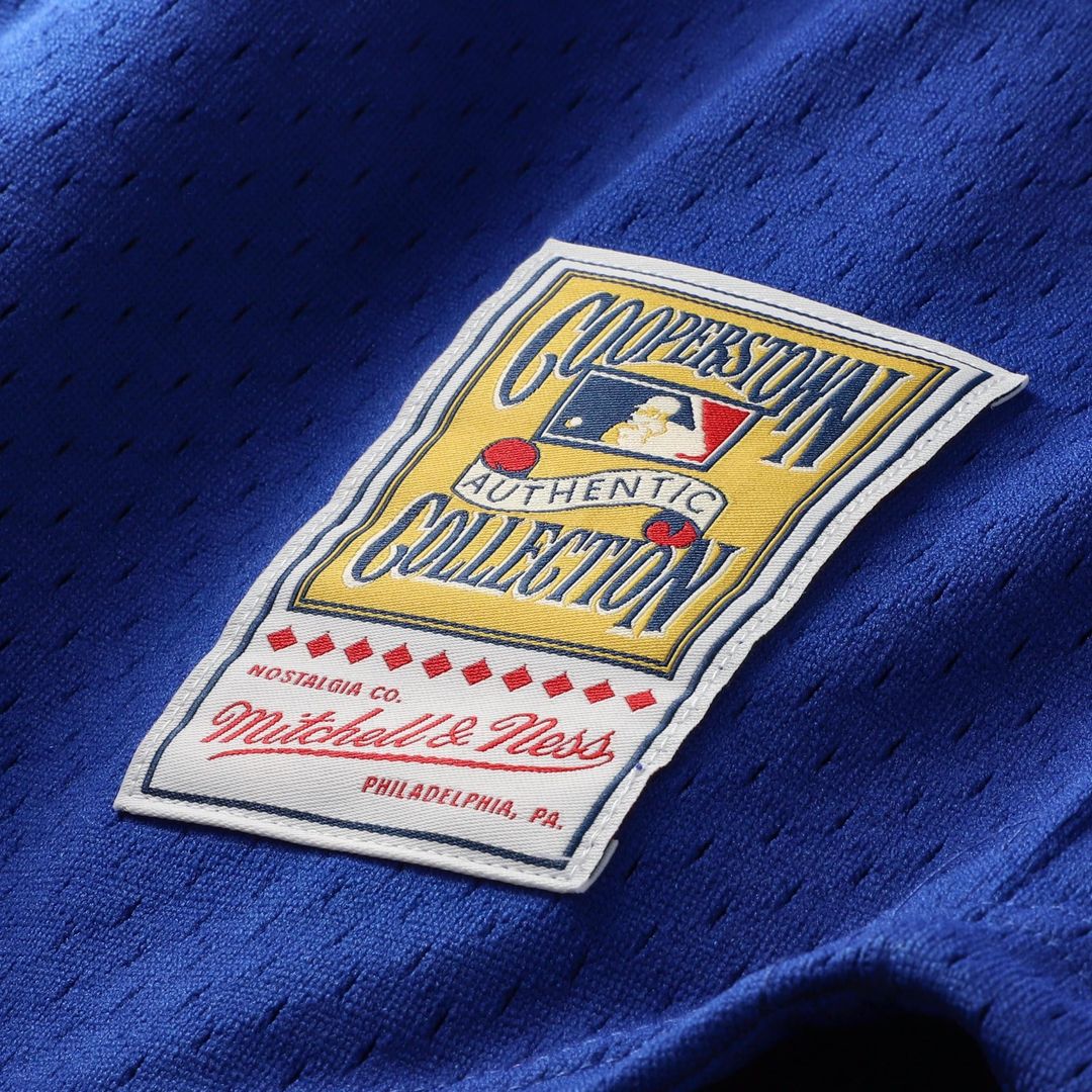 Men's Chicago Cubs Ryne Sandberg Royal 1996 Mesh Batting Practice Button-Up Jersey