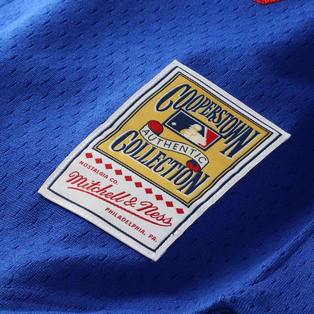 Men's Los Angeles Dodgers Hideo Nomo Royal Big & Tall Mesh Batting Practice Jersey