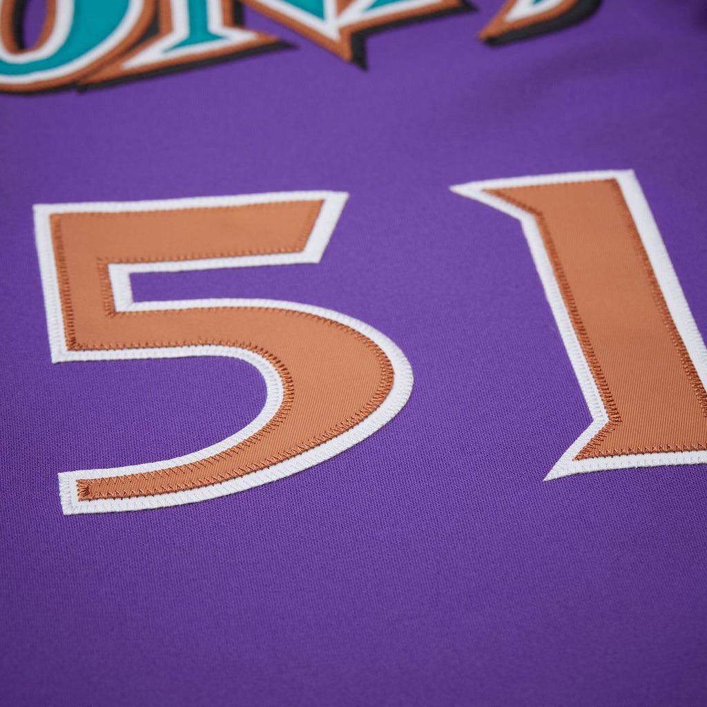 Men's Arizona Diamondbacks Randy Johnson Purple 2000 Throwback Jersey