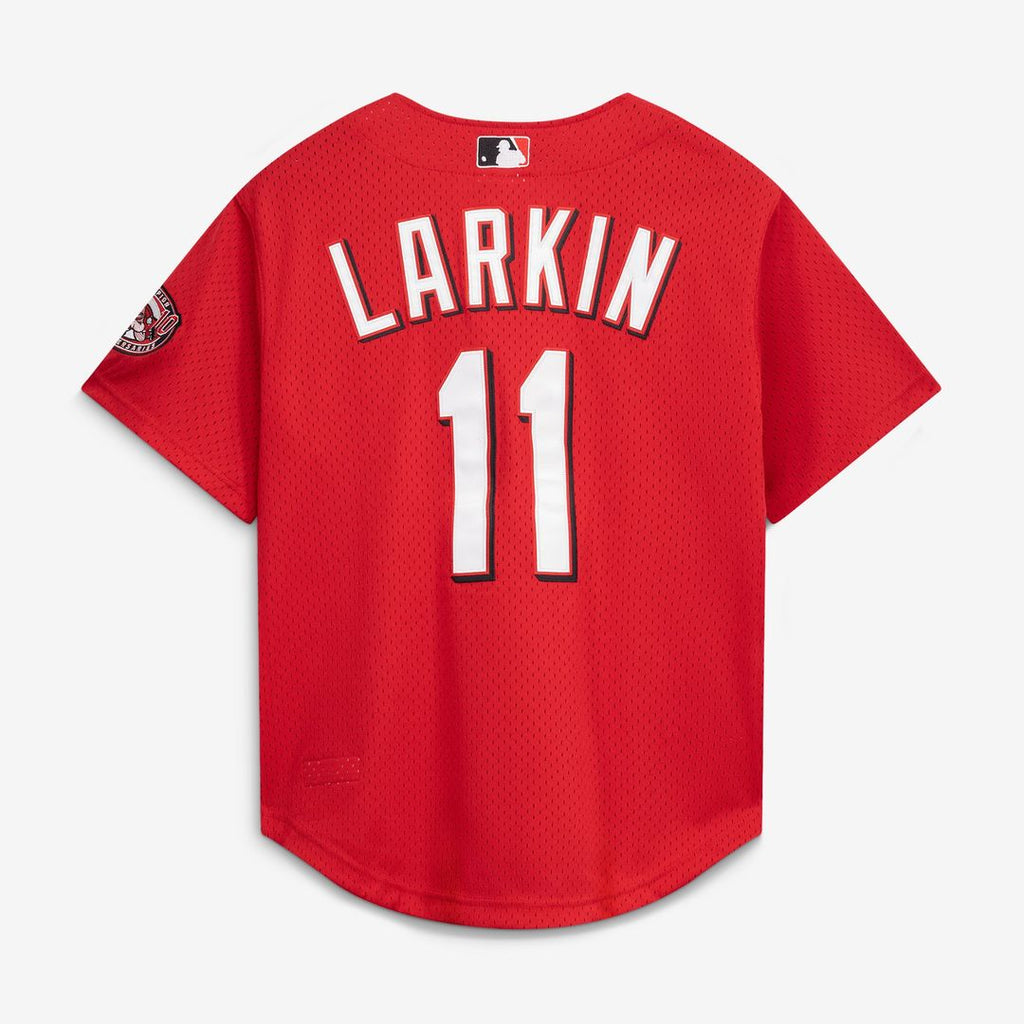 Men's Cincinnati Reds Barry Larkin Red Throwback Mesh Batting Practice Jersey