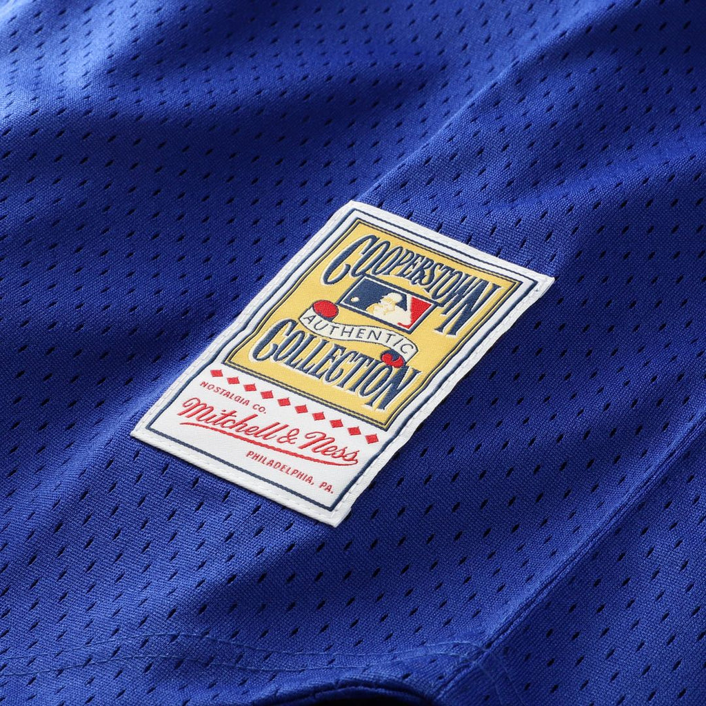 Men's Kansas City Royals Bo Jackson Royal Big & Tall Mesh Batting Practice Jersey