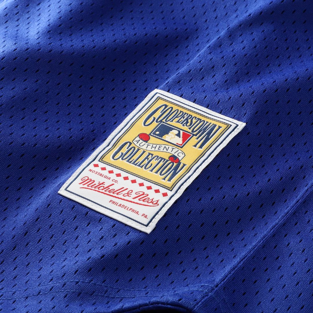 Men's Kansas City Royals Bo Jackson Royal Big & Tall Mesh Batting Practice Jersey