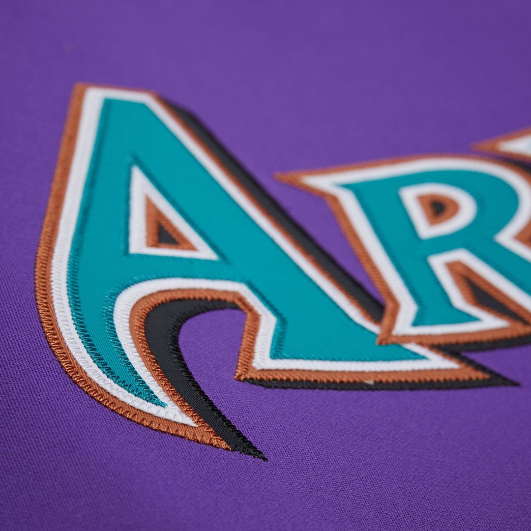 Men's Arizona Diamondbacks Randy Johnson Purple 2000 Throwback Jersey