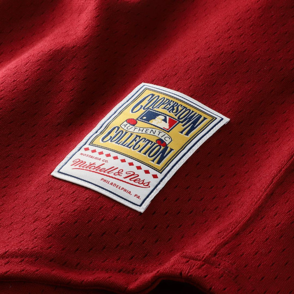 Men's Philadelphia Phillies Darren Daulton Scarlet Batting Practice Jersey