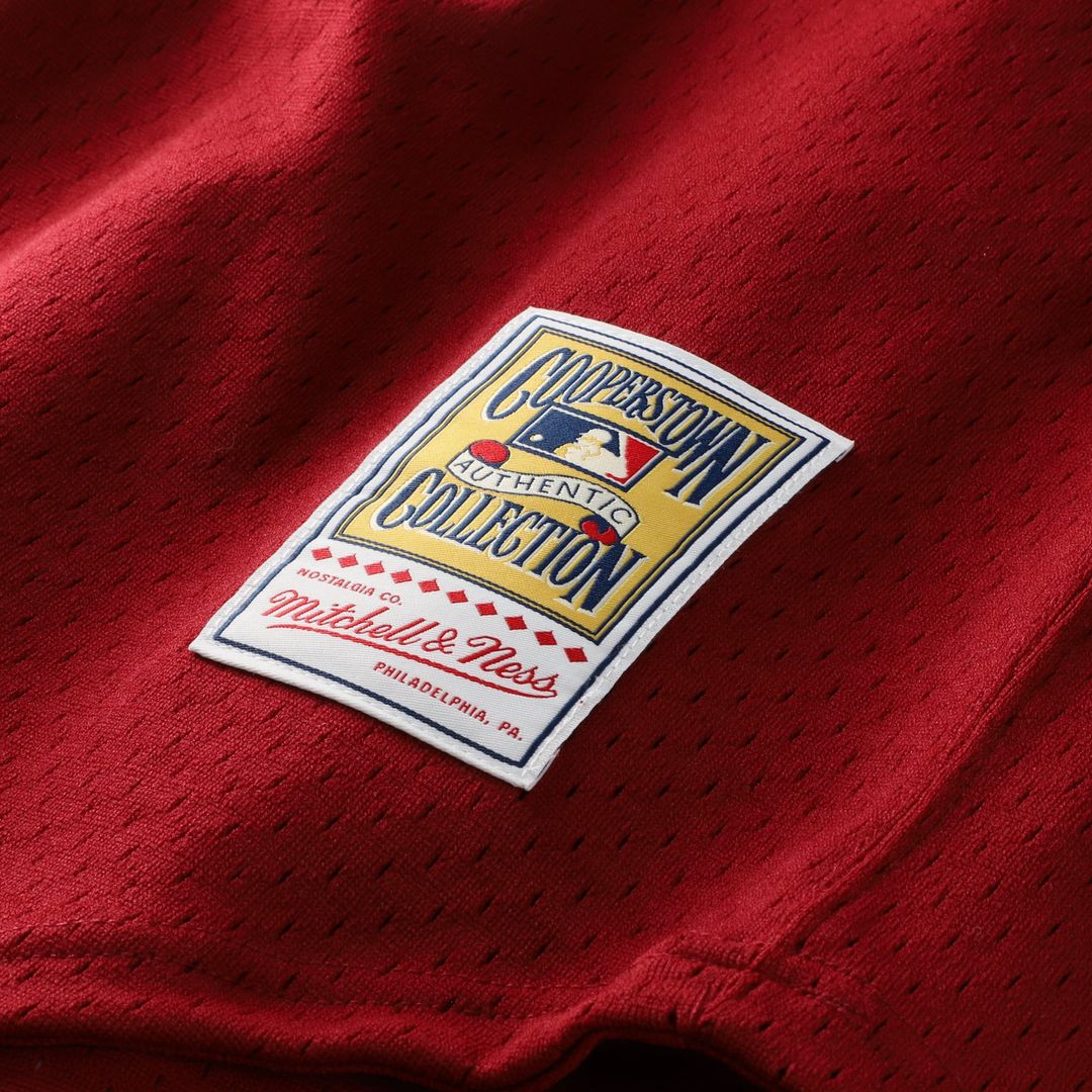 Men's Philadelphia Phillies Darren Daulton Scarlet Batting Practice Jersey