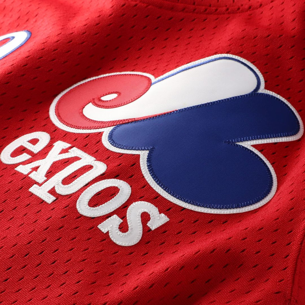 Men's Montreal Expos Tim Raines Scarlet Batting Practice Jersey
